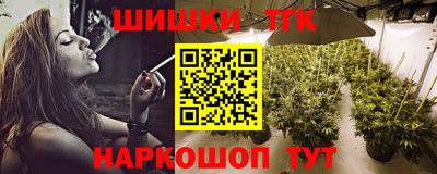 дурь Сланцы